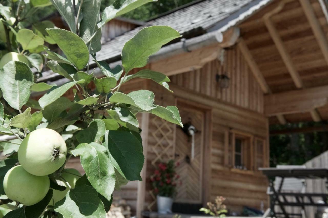 Villa Xeishittn Sternennest Hieflau Esterno foto